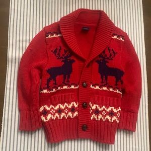 Gap Fair aisle Chunky Knit Sweater